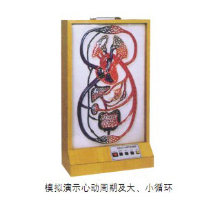 大、小循環(huán)電動(dòng)模型